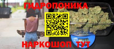 сатива Кулебаки