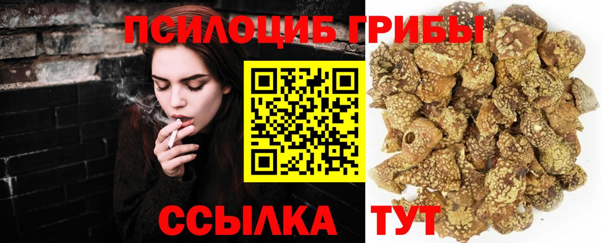 Галлюциногенные грибы прущие грибы Фролово