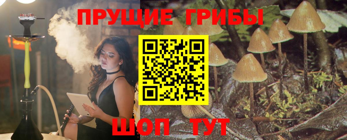 Галлюциногенные грибы прущие грибы  Вход с VPN  Фролово 